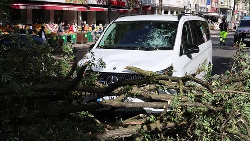 Vor und teilweise auf einem Auto liegen Äste eines Baumes. Die Frontscheibe des Autos ist beschädigt