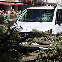 Vor und teilweise auf einem Auto liegen Äste eines Baumes. Die Frontscheibe des Autos ist beschädigt