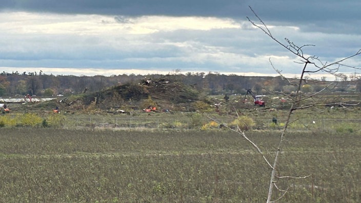 Ein gerodete Waldstück am Tagebau Hambach aus der Ferne