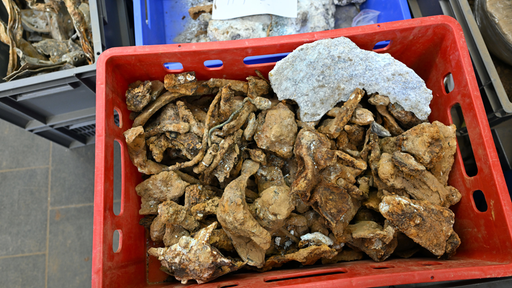 Bomber aus dem Zweiten Weltkrieg gefunden