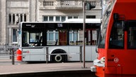 Ein Bus und eine Straßenbahn der Kölner Verkehrsbetriebe (KVB) stehen an der Haltestelle Neumarkt