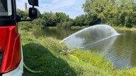 Durch Wasserpumpen versorgt die Feuerwehr das Gewässer mit Sauerstoff