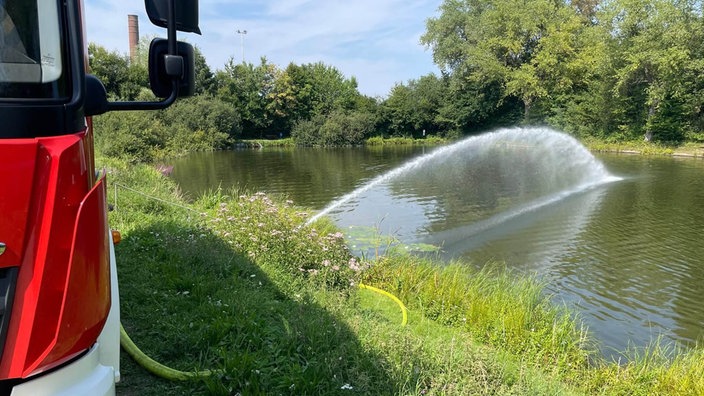 Durch Wasserpumpen versorgt die Feuerwehr das Gewässer mit Sauerstoff