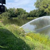 Durch Wasserpumpen versorgt die Feuerwehr das Gewässer mit Sauerstoff