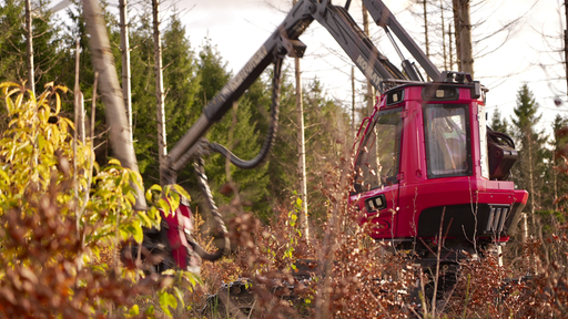 Nahaufnahme eines roten Harvester in einem Waldgebiet
