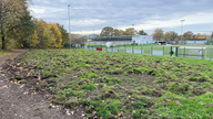 Eine Wiesenfläche, die total durchwühlt ist und auf der Erdhaufen und rausgerissene Grasballen liegen 