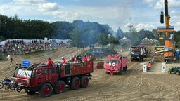 Mehrere skurille Fahrzeuge auf einer Sandpiste