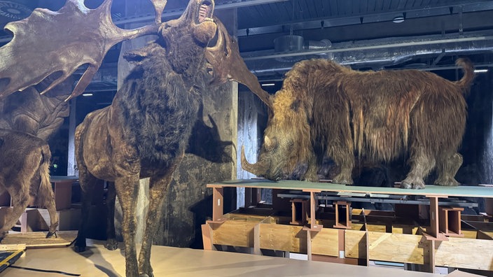 Lebensechte Modelle von Tieren in der Eiszeit