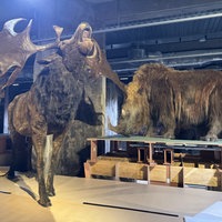 Lebensechte Modelle von Tieren in der Eiszeit