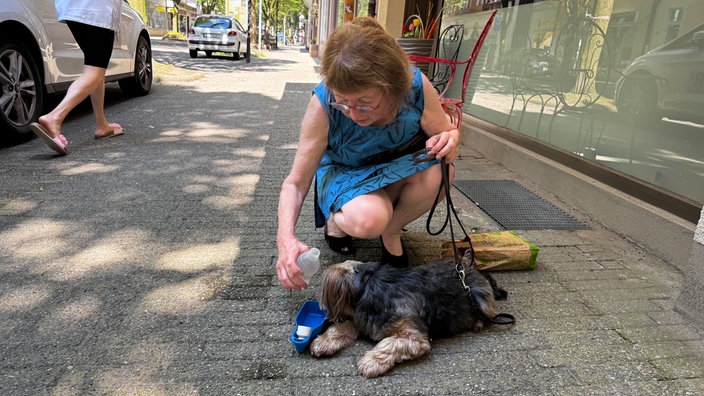 Ingrid Kremer in Bochum gibt Hund Roschi bei Hitze etwas zu trinken