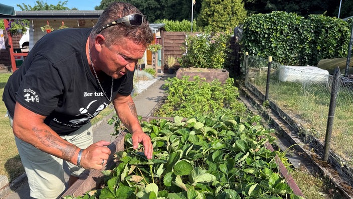 Jürgen Jakubeit beugt sich über ein Hochbeet