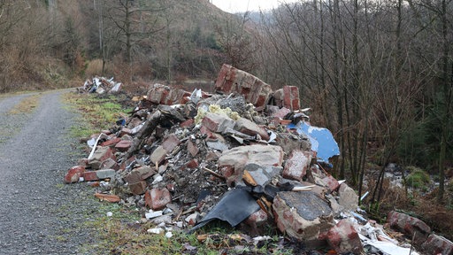 Berg voller Bauschutt im Wald