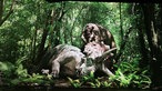Ein Tyrannosarurs Rex hat einen Triceratops erlegt