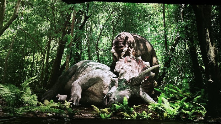 Ein Tyrannosarurs Rex hat einen Triceratops erlegt