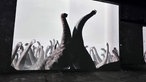 25 Meter große Sauropoden-Bullen kämpfen miteinander und schlagen mit ihren Hälsen gegeneinander