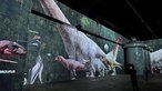 Die Show projeziert verschiedene Dinosauriearten zum Vegleich in Lebensgröße auf die 13 Meter hohen Wände