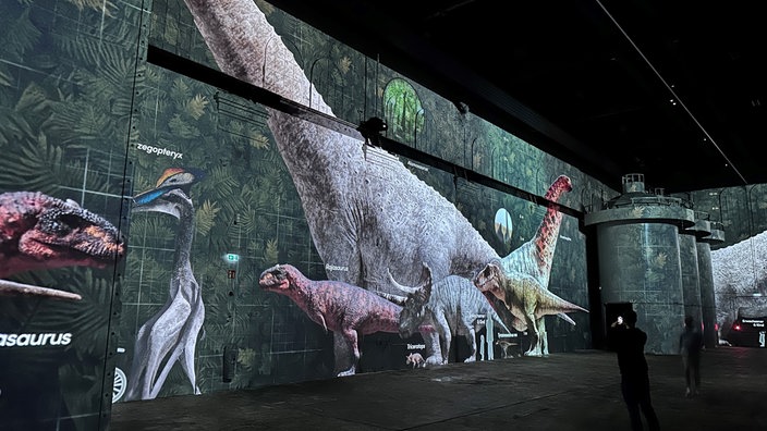 Die Show projeziert verschiedene Dinosauriearten zum Vegleich in Lebensgröße auf die 13 Meter hohen Wände