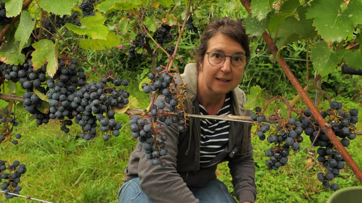 Winzerin Tina Krachten kniet vor einem Weinstock 