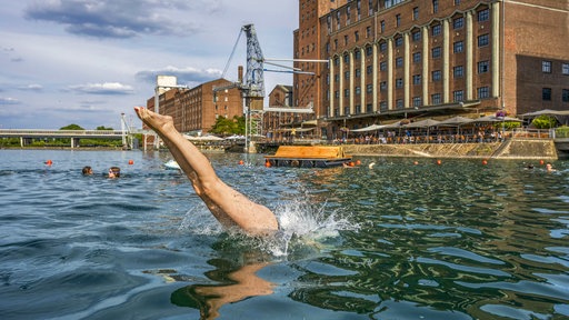 Eine Person springt Kopfüber von einer Plattform ins Wasser des Innenhafens