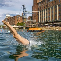 Eine Person springt Kopfüber von einer Plattform ins Wasser des Innenhafens