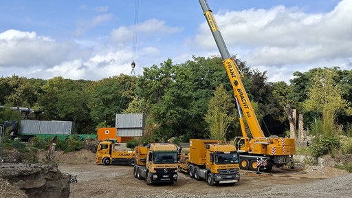 Drei orangene Lkw und ein orangener Kran. Außerdem große graue Transportboxen.