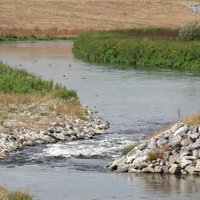 Ein Fluss mit Wasser. Links und Rechts das Ufer
