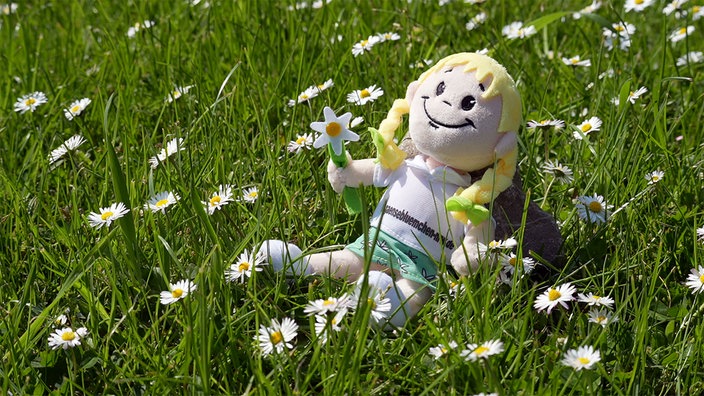 Eine Stoffpuppe mit blonden Haaren und Gänseblume in der Hand sitzt im Gras umgeben von Gänseblümchen