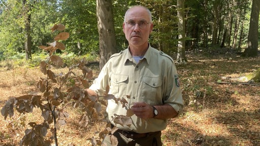 Stadtförster Stefan Jeschke schaut mit ernstem Blick in die Kamera und hält einen trockenen Ast 