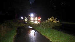 Das Bild zeigt Feuerwehrleute dabei, einen Ast auf einer Straße zersägen.