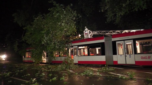 Das Bild zeigt die Feuerwehr dabei, wie sie einen Baum auf einer Straßenbahn zerkleinert.