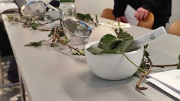 Mörser, Sieb und Einmachglas mit grüner Flüssigkeit auf einem weißen Tisch.