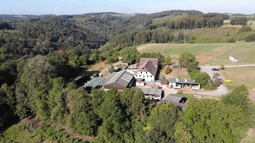 Der Bauernhof der Piepenstocks liegt zwischen grünen Feldern und Wäldern.