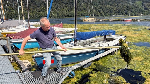 Mann schaufelt Wasserpflanze aus See.