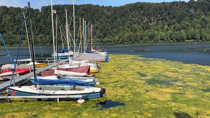 Segelboote und Yachten auf dem Harkortsee.