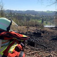 Das Bild zeigt einen Feuerwehrhelm vor der verbrannten Waldfläche.