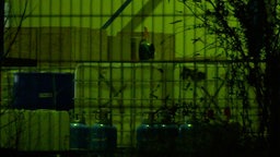 Hinter einem zaun stehen Fässer