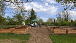 Hochbeete stehen auf einer Fläche, die mit Mulch ausgelegt ist. Unter einem Pavillion stehen mehrere Menschen.
