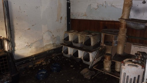 Übereinander gestapelte Tierkäfige in verwahrloster Wohnung