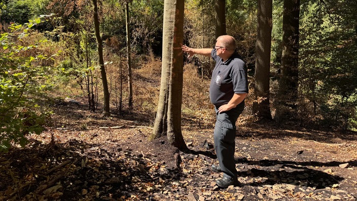 Ein Mann in einem Poloshirt der Hagener Feuerwehr steht im Wald und zeigt auf einen Baum.