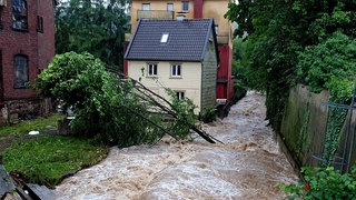 Im Jahr 2021 rissen die Fluten ganze Bäume mit sich. 
