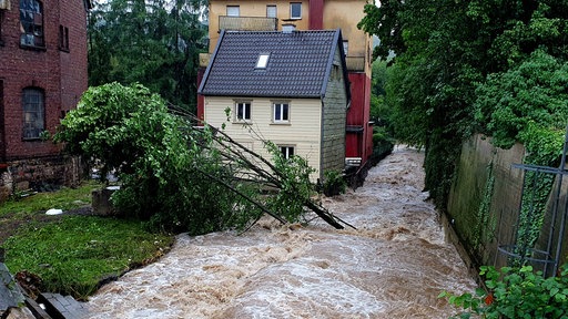 Im Jahr 2021 rissen die Fluten ganze Bäume mit sich. 