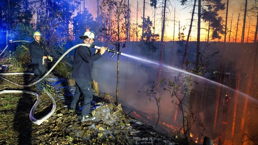 Zwei Feuerwehrmänner stehen neben dem Waldbrand. Einer von ihnen hält einen Schlauch in der Hand und zielt mit dem Wasserstrahl in Richtung des Feuers.