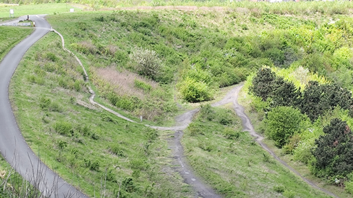Die Mountainbike-Strecke Halde Hoheward.