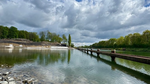 Wendebeck im Wasser, am Ufer Bäume und Wiesen