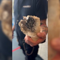 Ein männlicher Polizist hält die Überreste einer durch Böller zerfetzten Hand aus dem 3D-Drucker in seiner Hand
