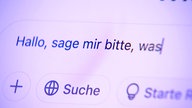 Auf einem Computer-Bildschirm steht der Text "Hallo, sage mir bitte, was".