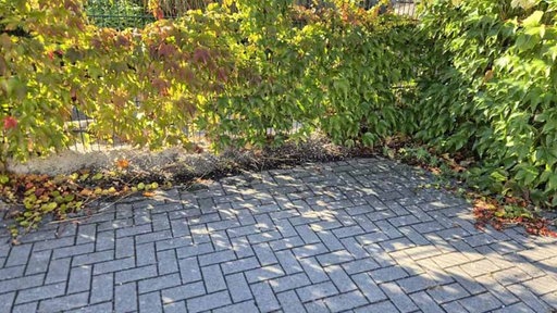 Eine Ecke neben dem Kitagelände