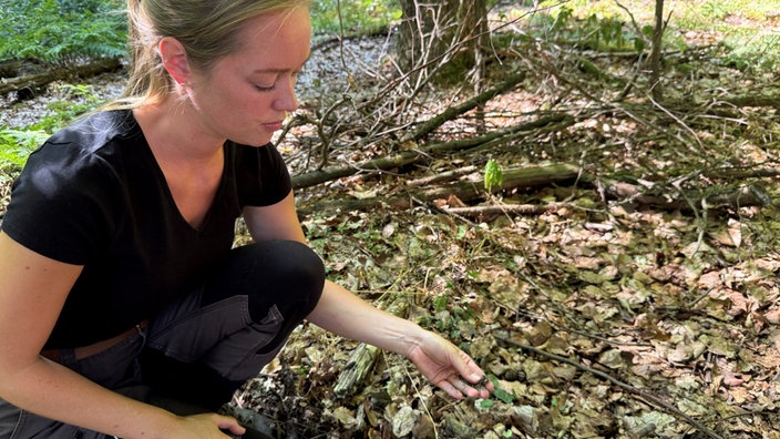 Eine Frau hebt Laub im Wald auf, es ist trocken 