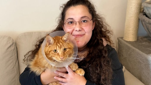 Kater Lio hat oranges Fell und muss akteull eine Haube tragen.