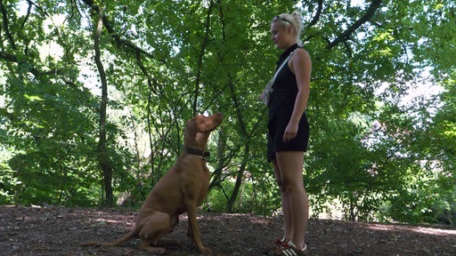 Eine Frau steht ihrem Hund im Wald gegenüber.